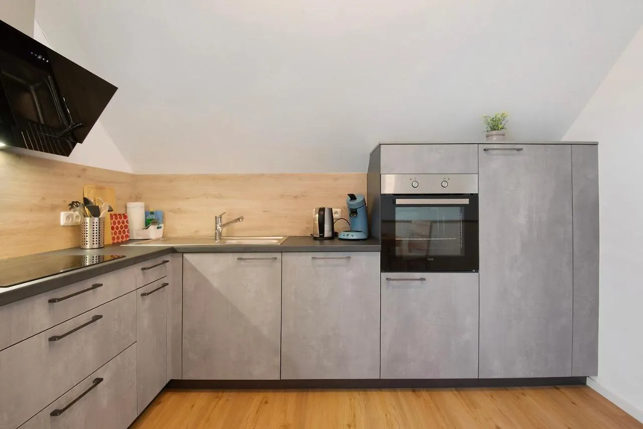 Dachstudio Am Donau Rad Weg Tegernheim Apartment